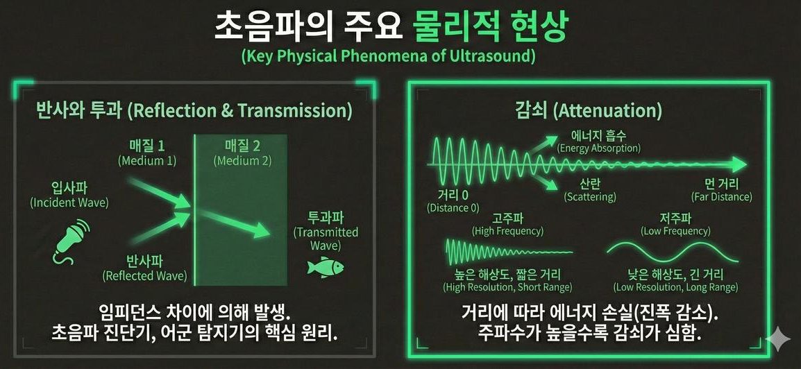 초음파의 주요 물리 현상 — 임피던스 차에 의한 반사와 투과, 거리·주파수에 따른 감쇠